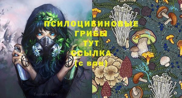 мескалин Баксан