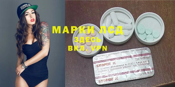 PSILOCYBIN Балахна